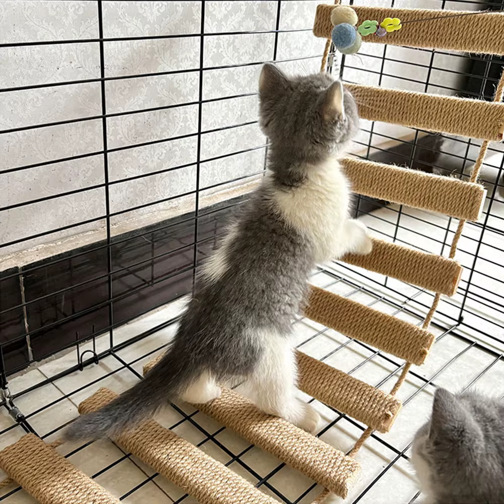 Puente escalera de pared para gatos – Mueble de madera suspendido