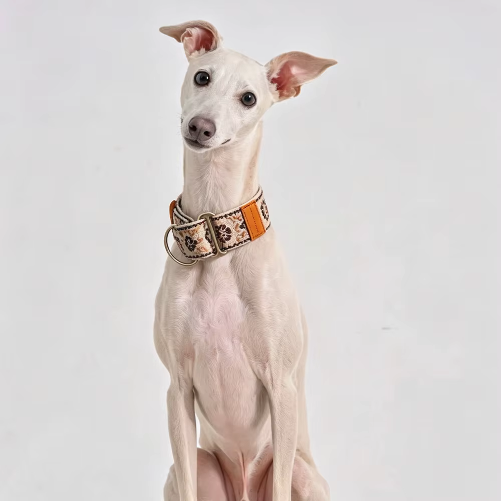 Collar martingale ajustable suave para perros: Whippet y galgo - imagen 4