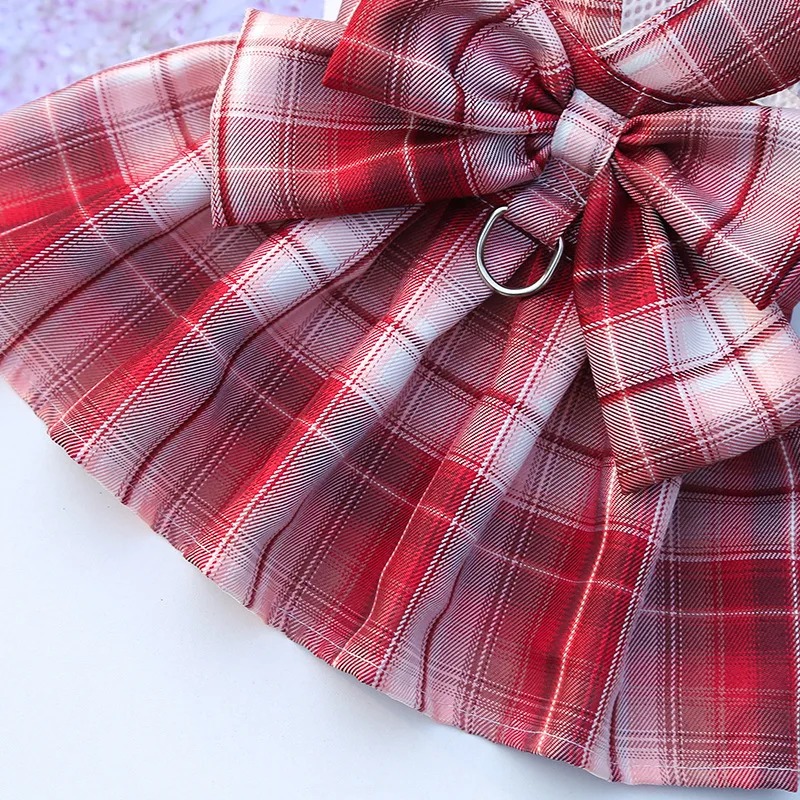 Accesorios para conejos y conjunto