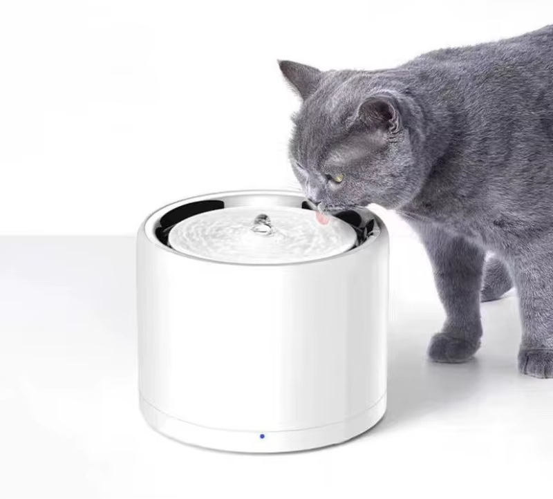 Filtro siendo instalado en el compartimento del bebedero PETKIT