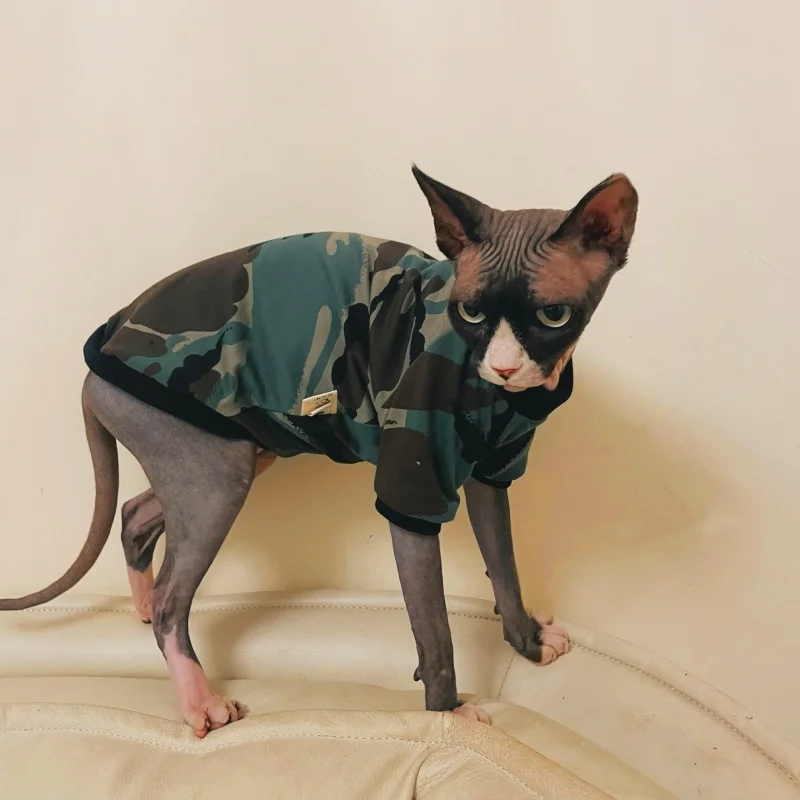 Gato felino usando la camiseta