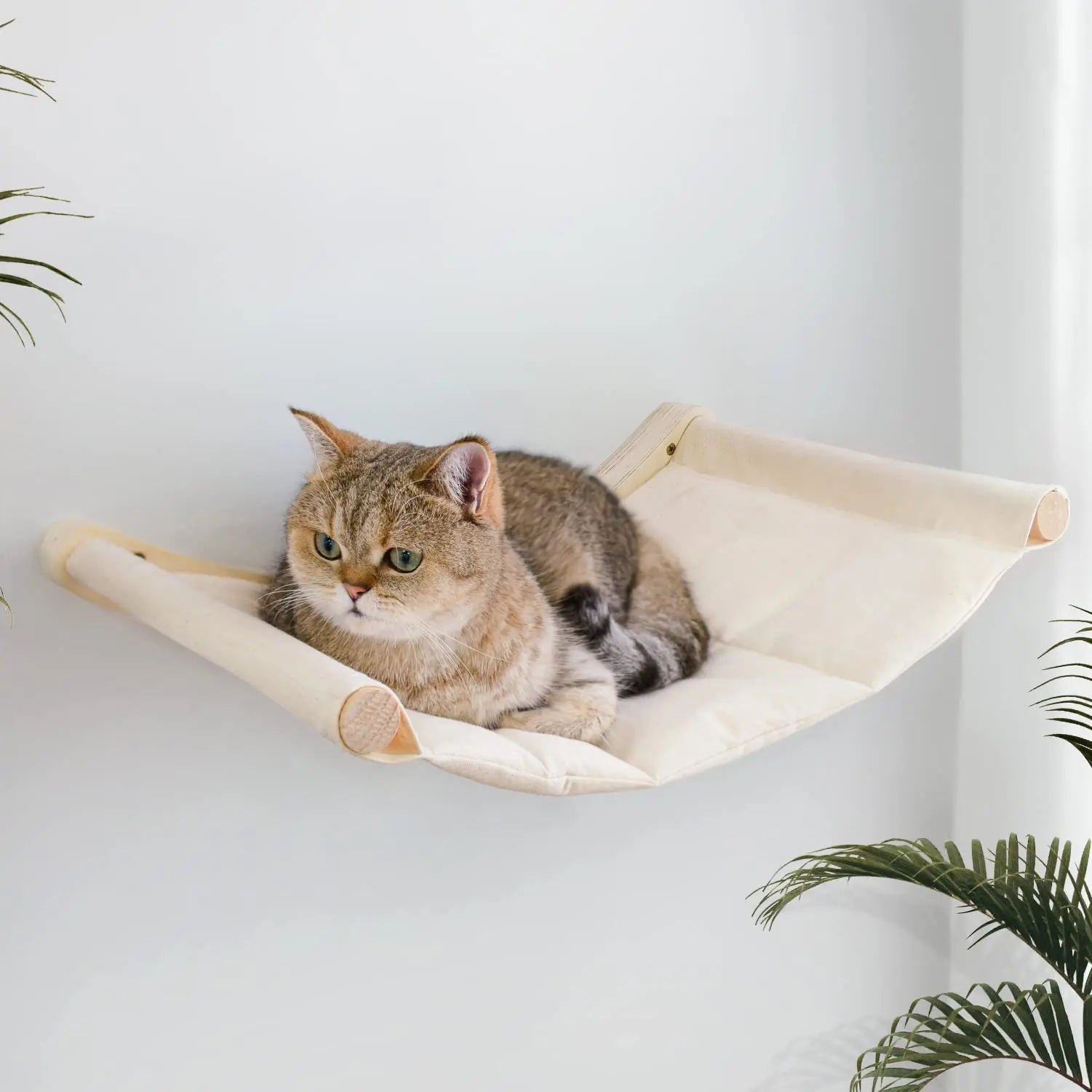 Hamaca de pared para gatos instalada