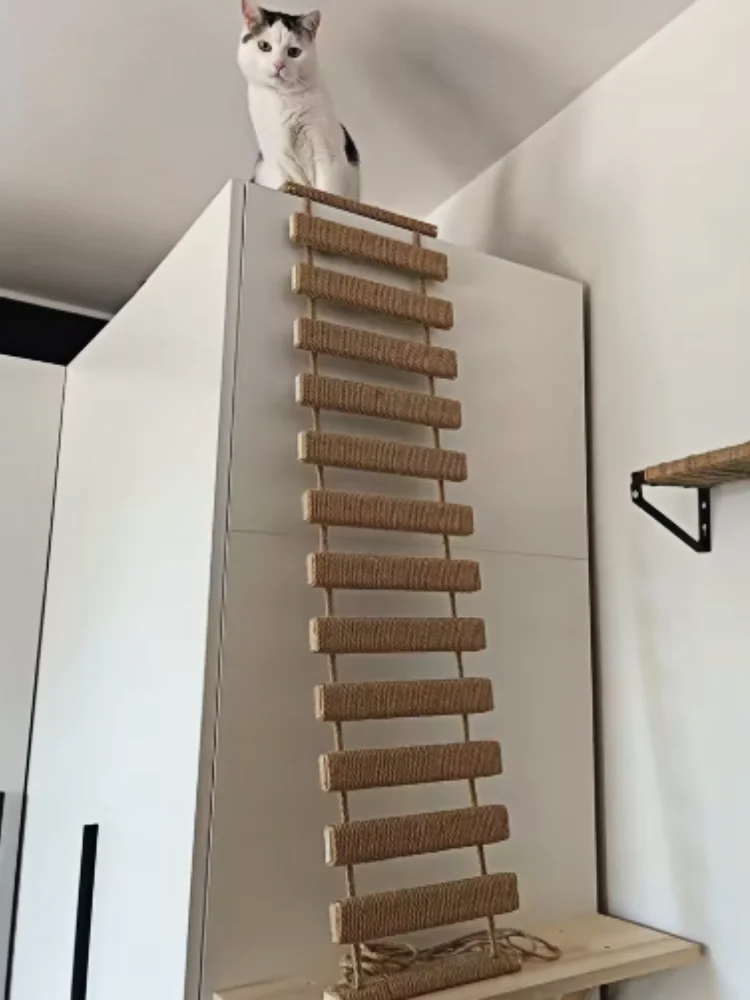 Puente de madera del centro de actividades