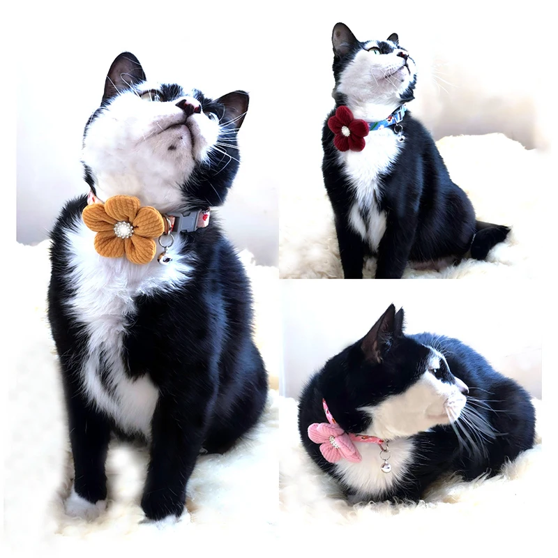 Collar lateral
