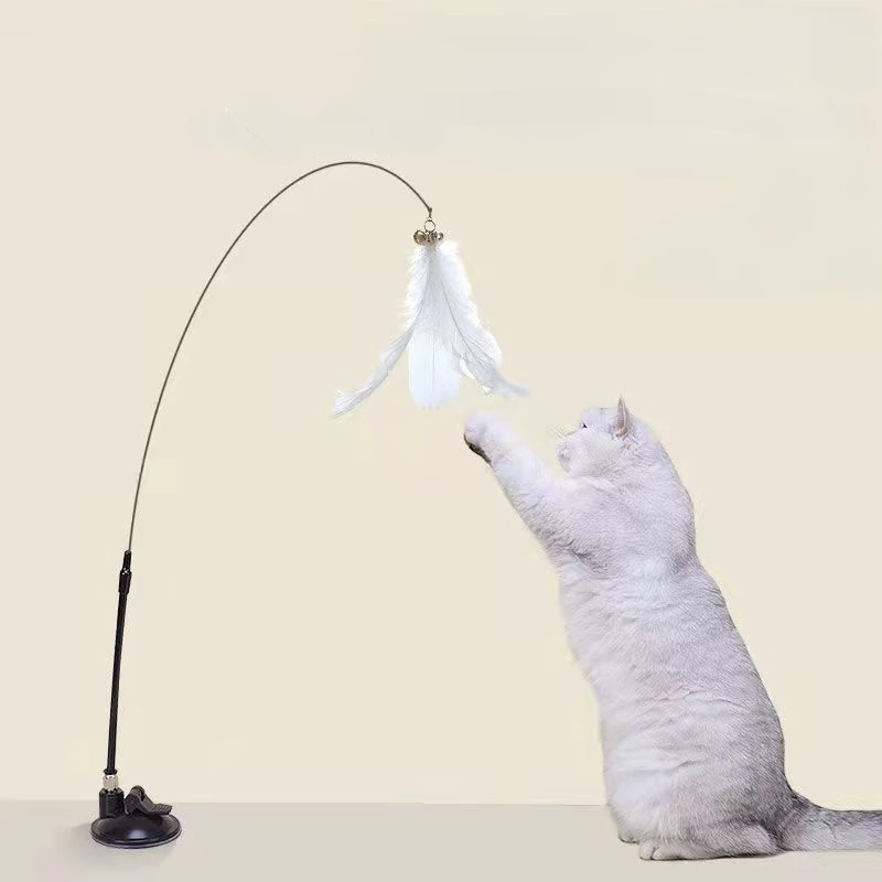 Gato interactuando con las plumas del juguete