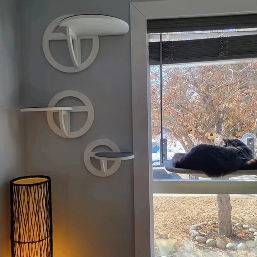 Gato escalando en estante circular