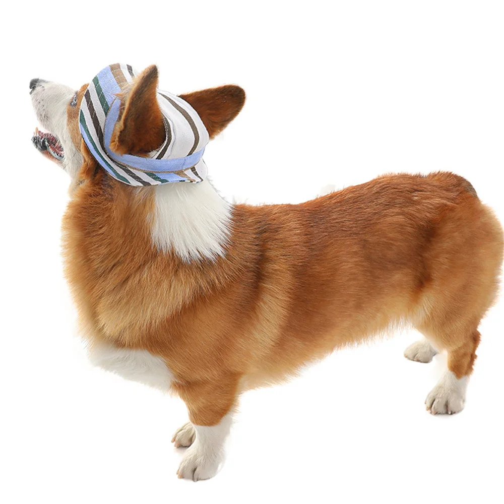 Gorra ajustable con estampado para perros Pug, Corgi y Dachshund - imagen 4