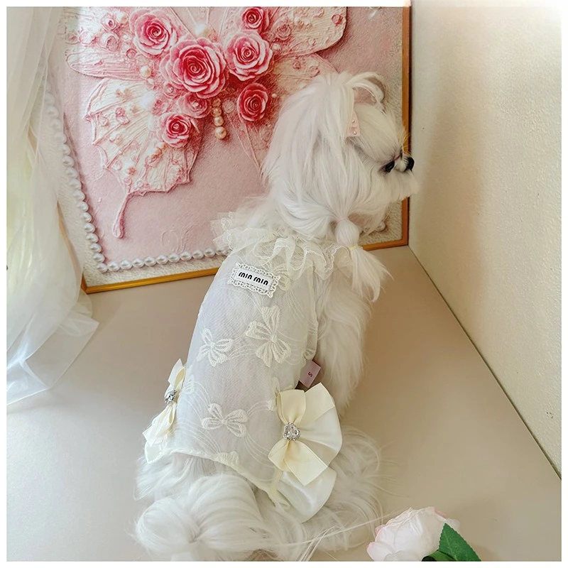 Chaleco de protección solar para perros pequeños