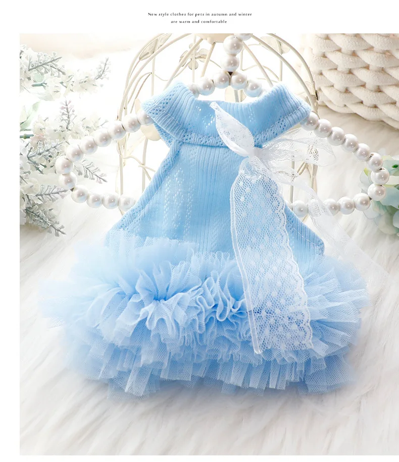 Perro con vestido en azul