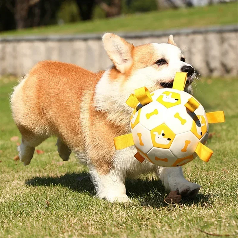 Pelota de fútbol inflable para perros