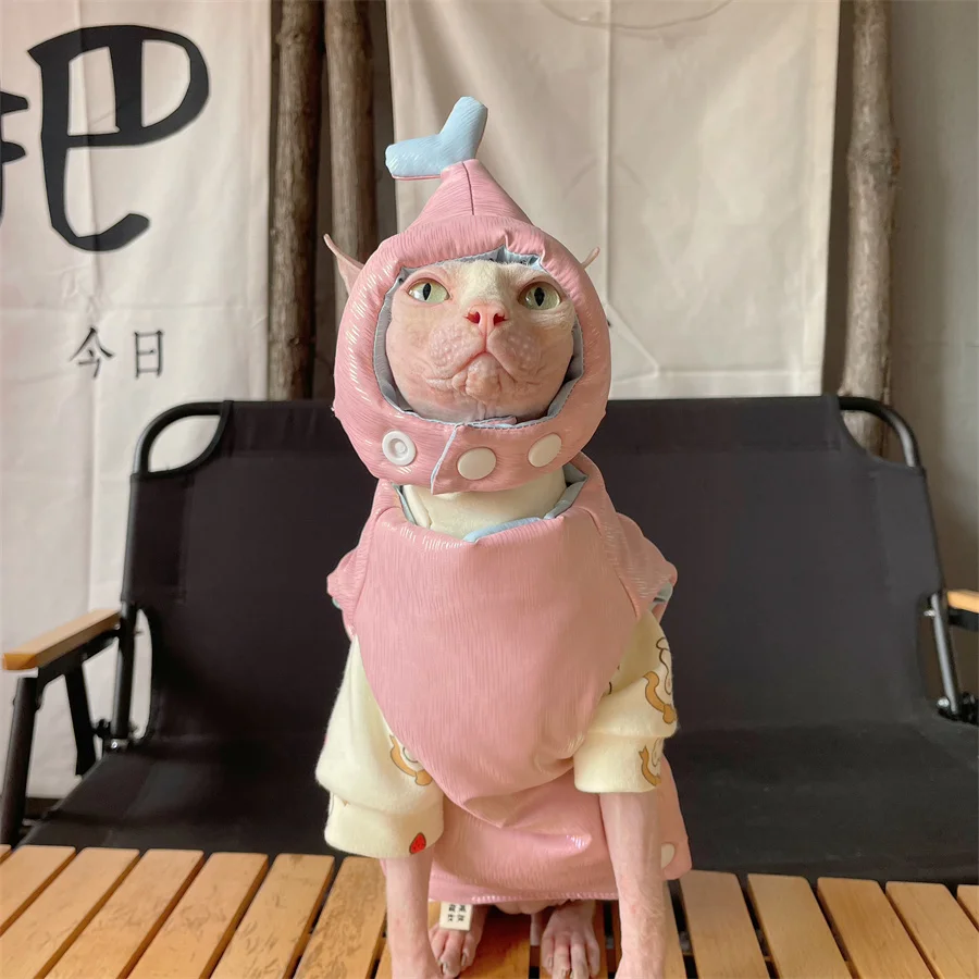 Gato Sphynx con jersey azul