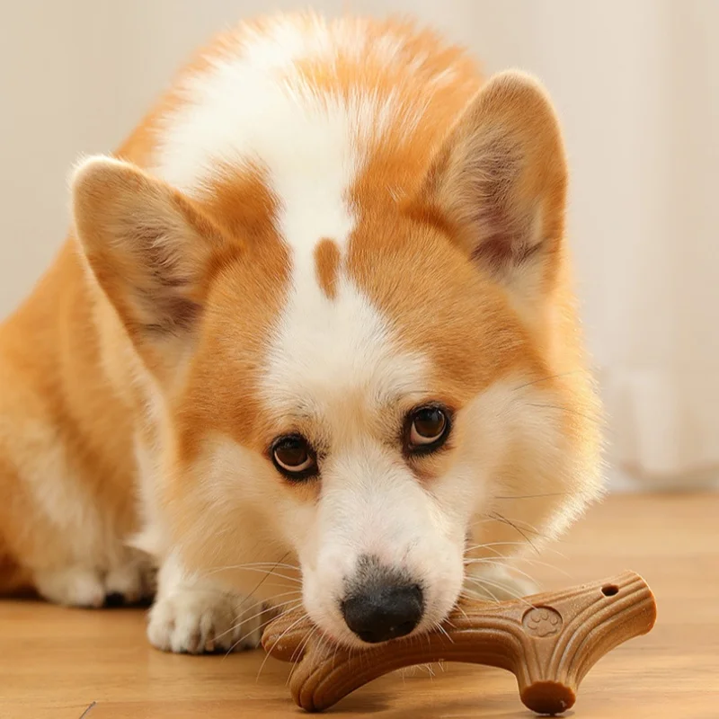 Hueso de Bambú para Perros – Juguete Interactivo de Masticación y Limpieza Dental - imagen 4