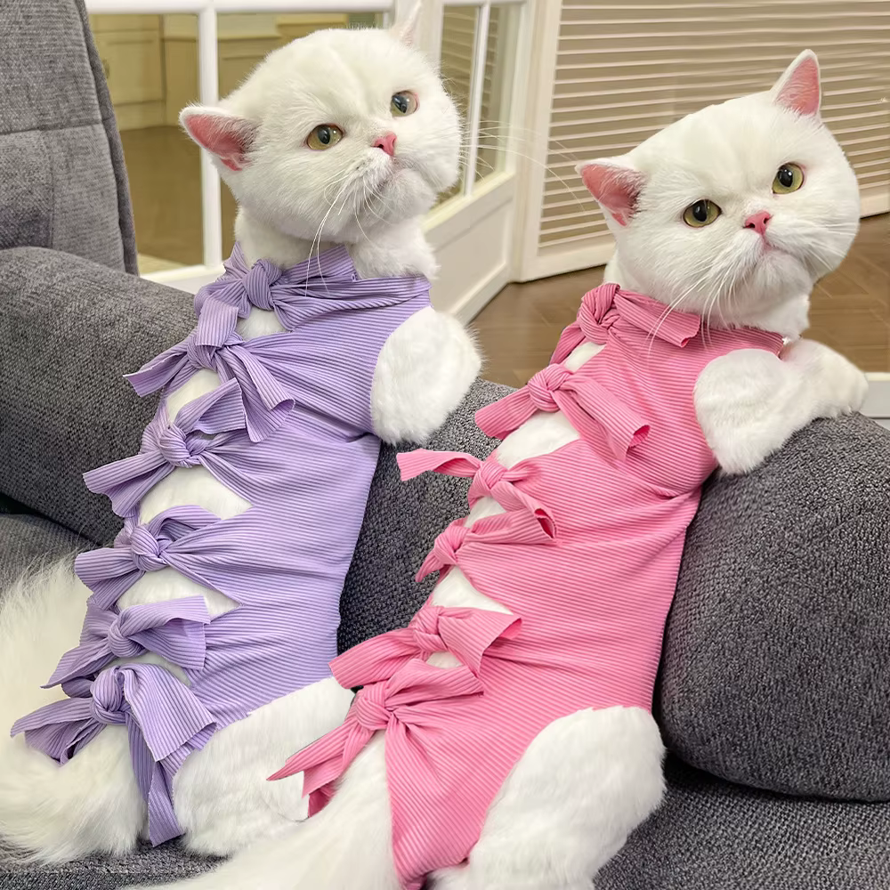 Traje de recuperación para gatos en uso