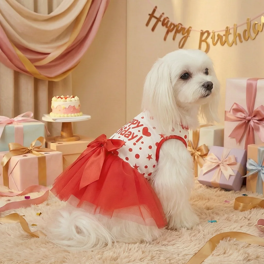 Vista frontal del vestido de cumpleaños para perros