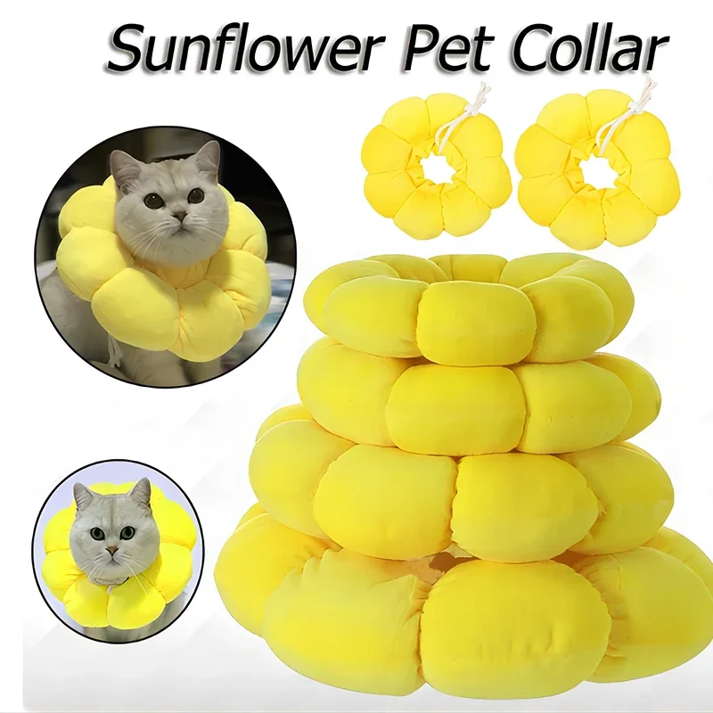 Collar protector visto desde otro ángulo