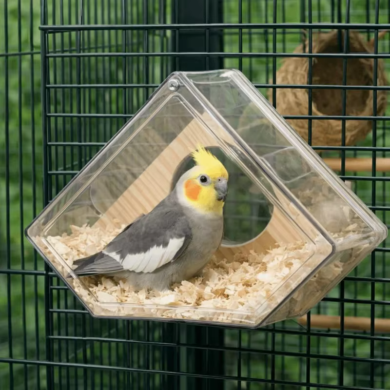 Caja nido transparente para loros y aves – Montaje exterior - imagen 3