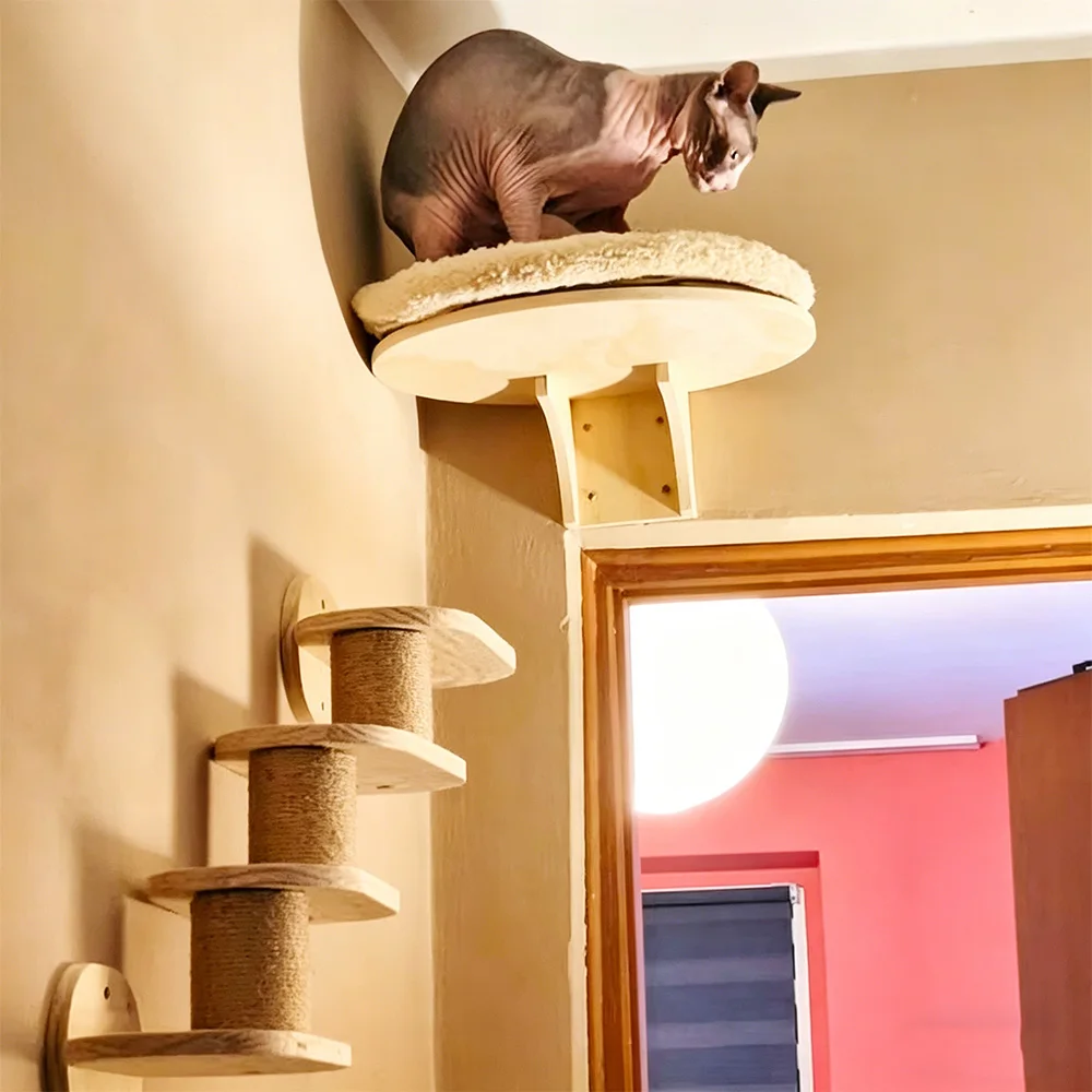 Centro de actividades para gatos montado en pared de madera
