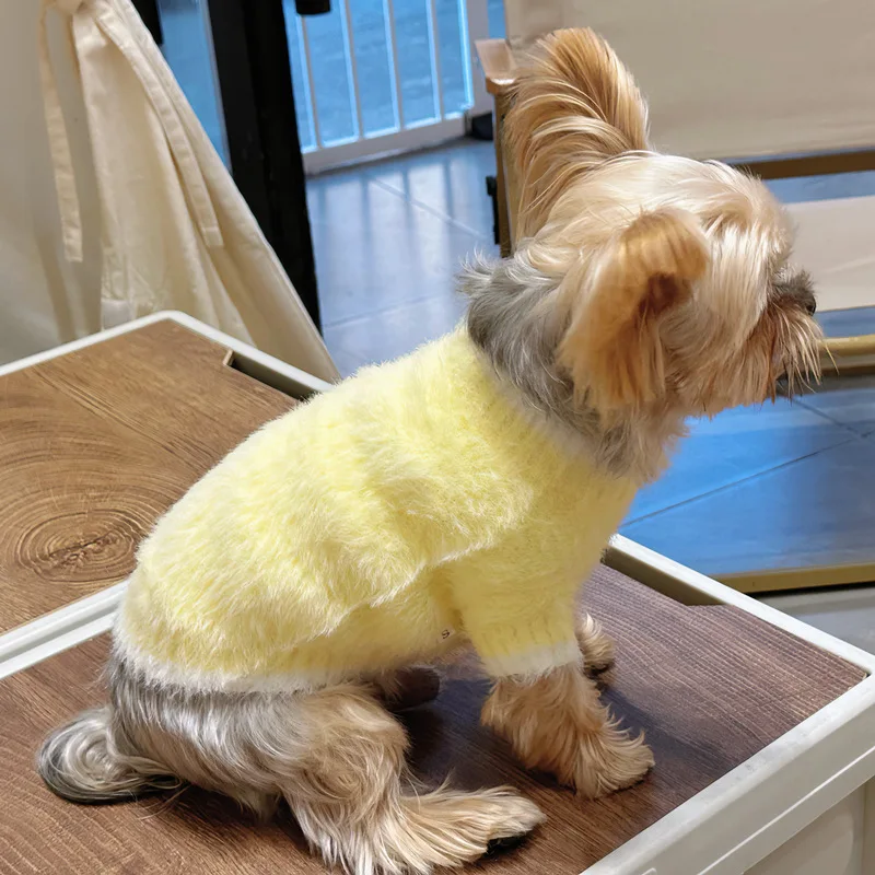 Suéter para perro en posición sentado