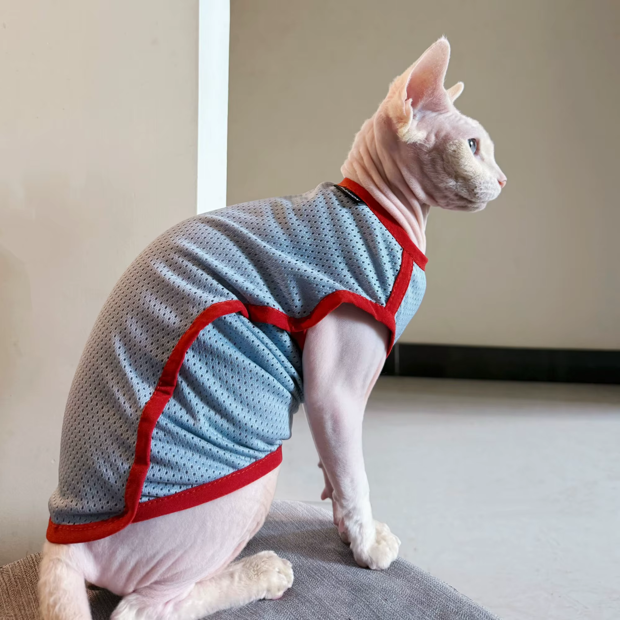 Chaleco de protección solar para gatos Sphynx – Transpirable y fresco
