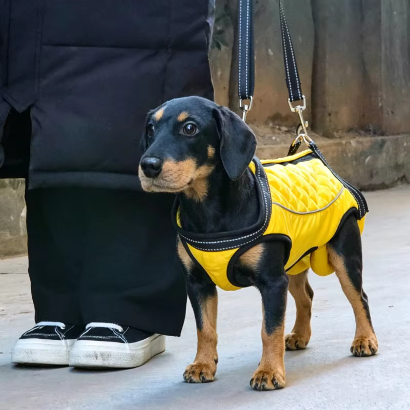 Arnés de soporte y elevación para perros mayores y discapacitados - imagen 4
