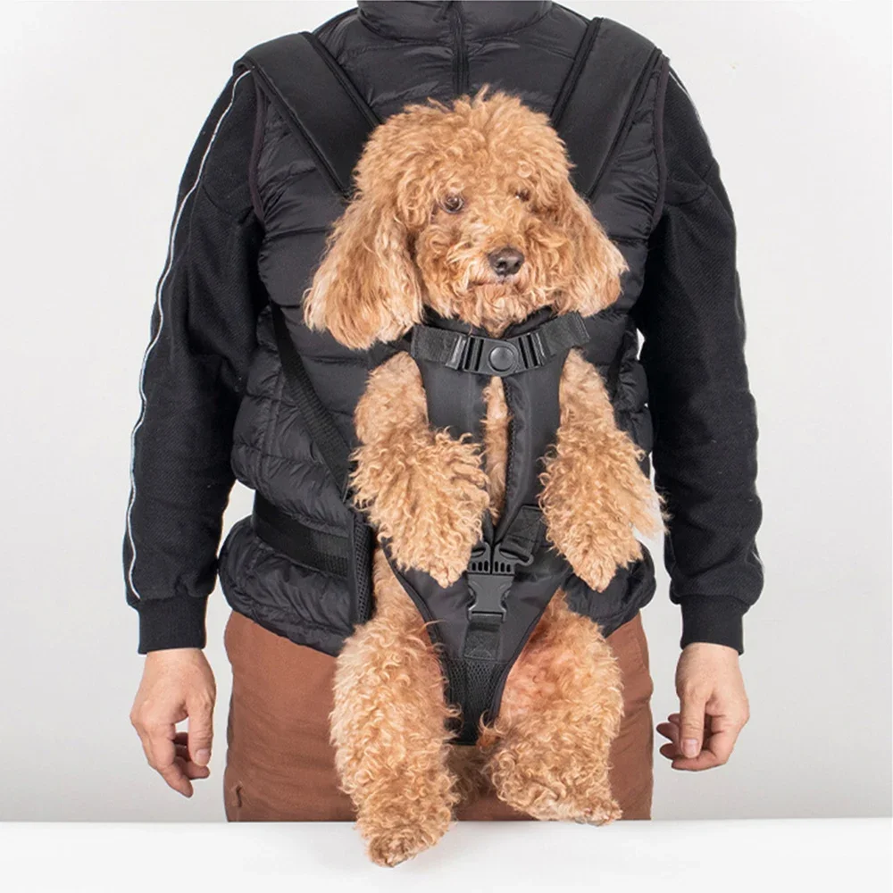 Perro mediano asomando cómodamente por abertura superior