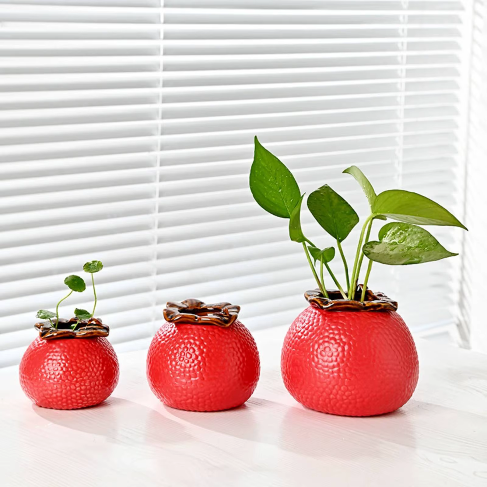 Maceta de Cerámica Texturizada con Frutas – Maceta Hidropónica Decorativa para Interior - imagen 2
