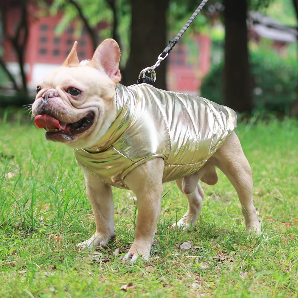 Chaleco impermeable de invierno para perros pequeños y medianos - imagen 3