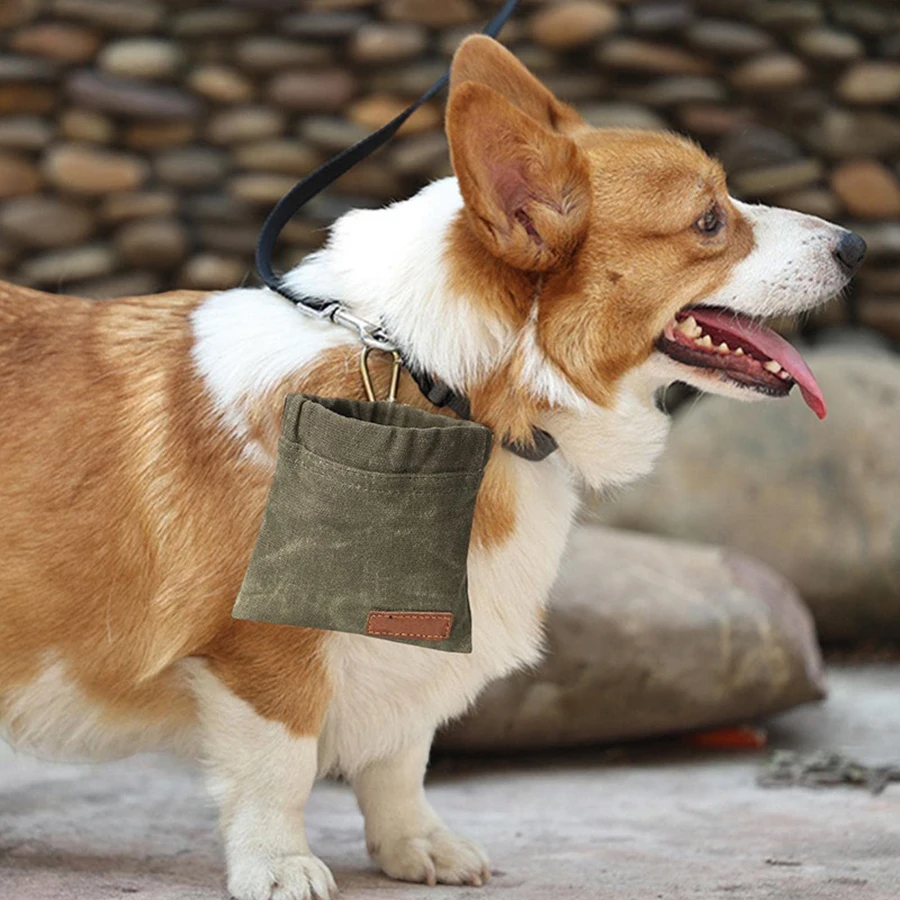 Bolsa de alimentos para mascotas en uso durante paseo