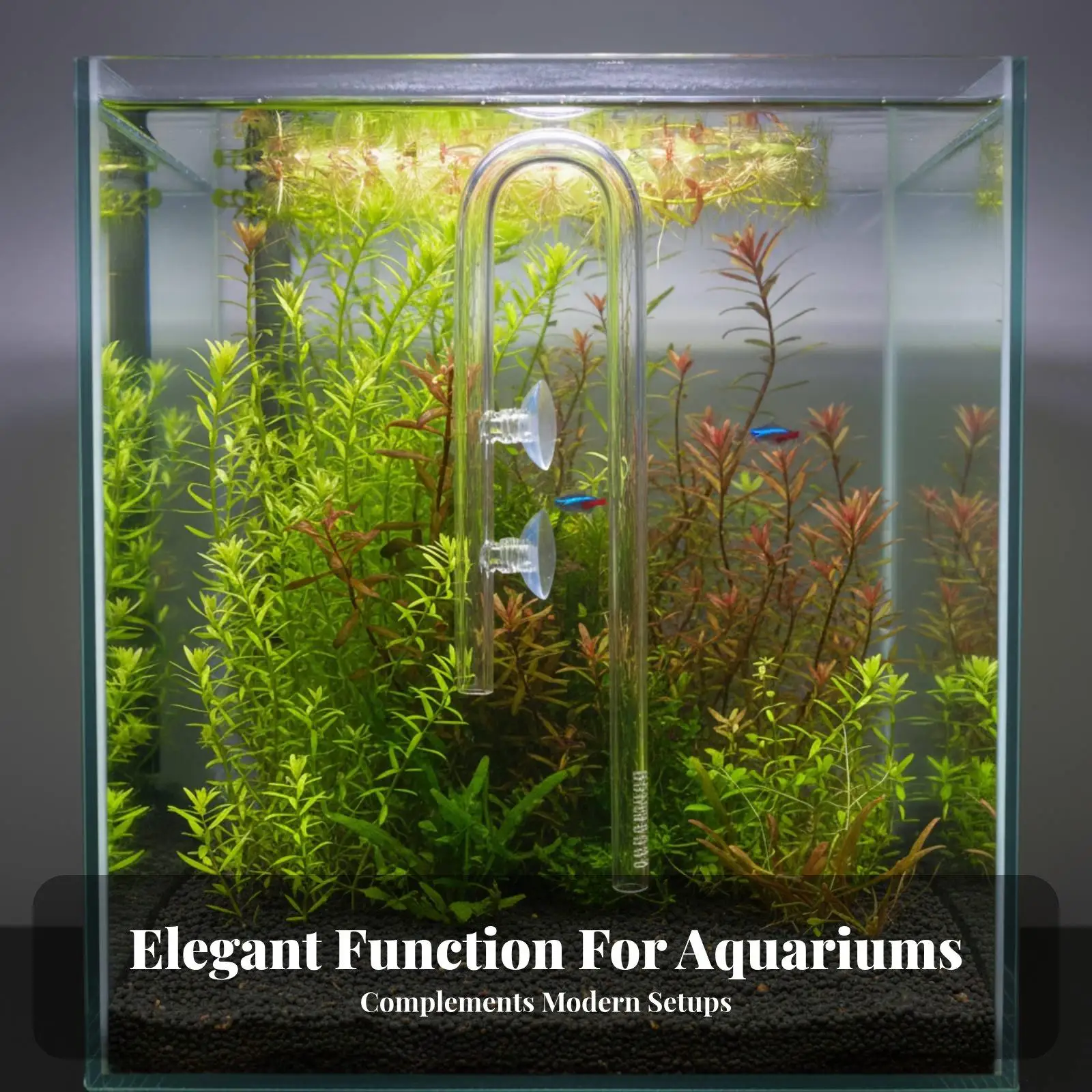 Tubo entrada agua cristal para acuario – Compatible filtro canister Lily Pipe - imagen 3