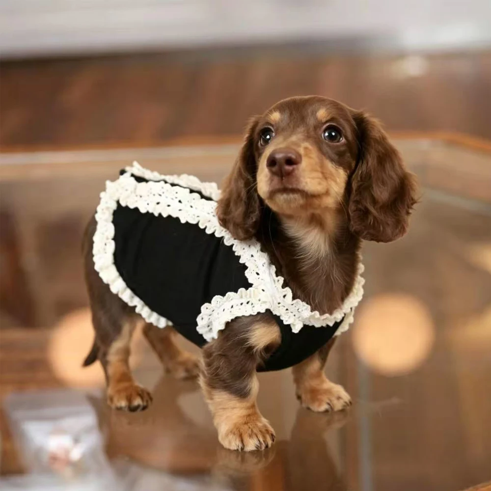 Vestido floral de algodón sin mangas para perras Dachshund - imagen 4