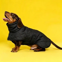 Abrigo impermeable con cinturón ajustable para perros Dachshund