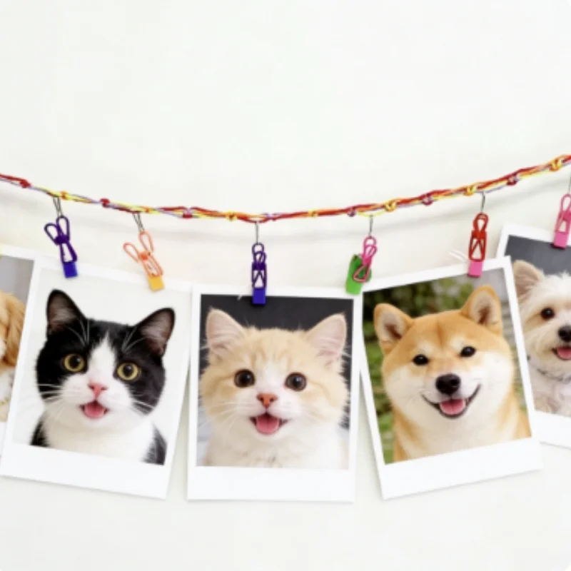 Fondo decorativo para cumpleaños de mascotas con temática animal