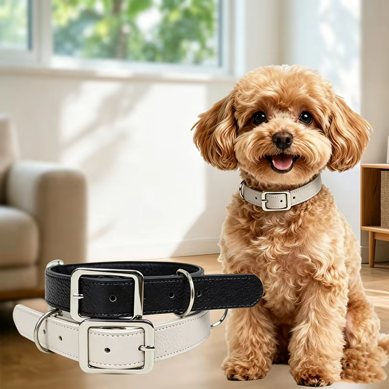 Conjunto de collar y correa de cuero genuino para perro - imagen 5