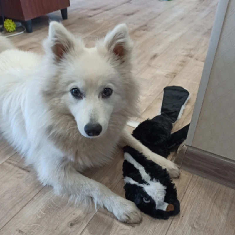 Juguete Peluche Ardilla para Perros y Gatos - imagen 4