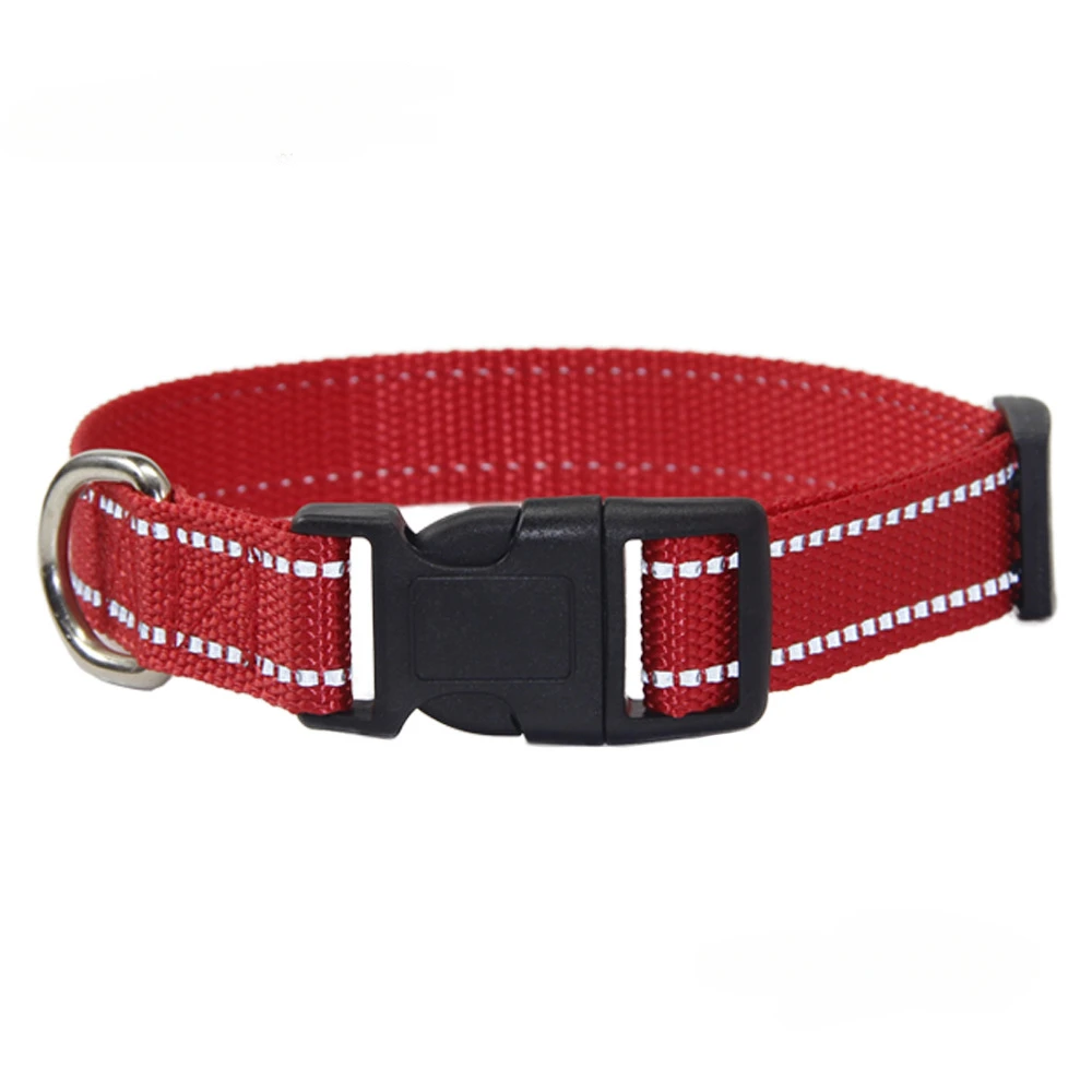 Accesorios para perros listos para usar