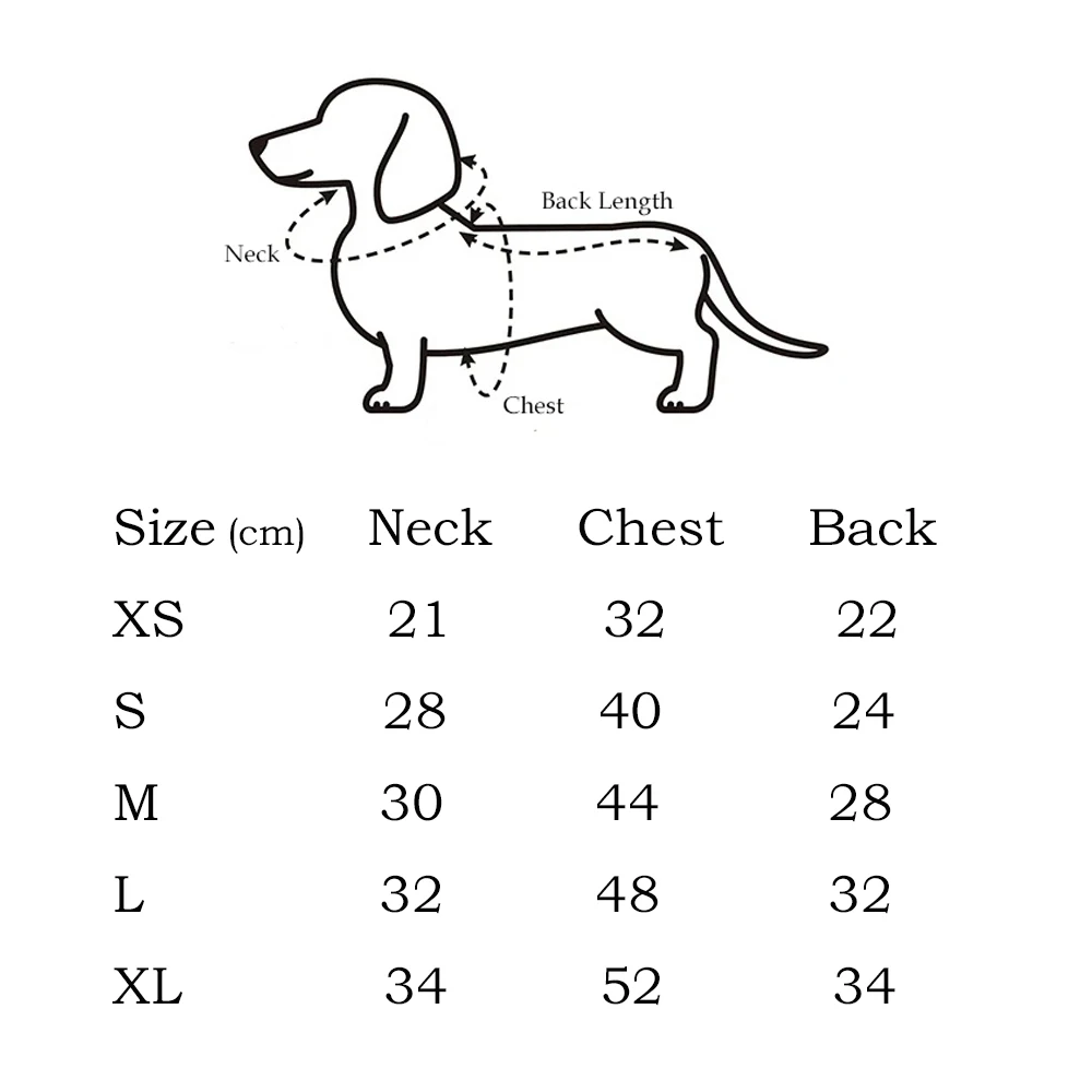Chaqueta colorida para dachshund modelo frontal