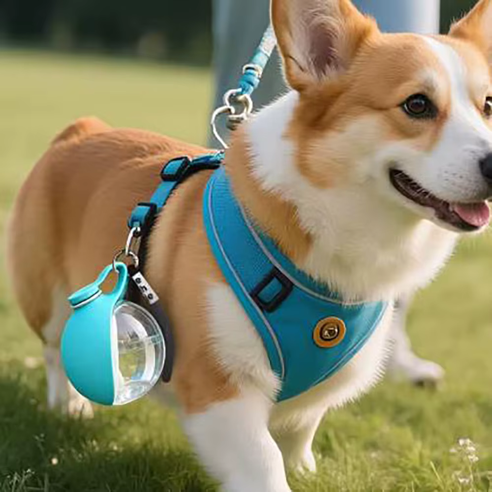 Set de viaje para perros – Botella portátil y dispensador de bolsas con diseño de huella - imagen 2