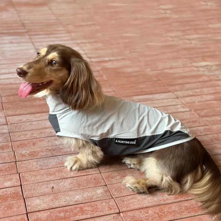 Perro usando el abrigo en parque