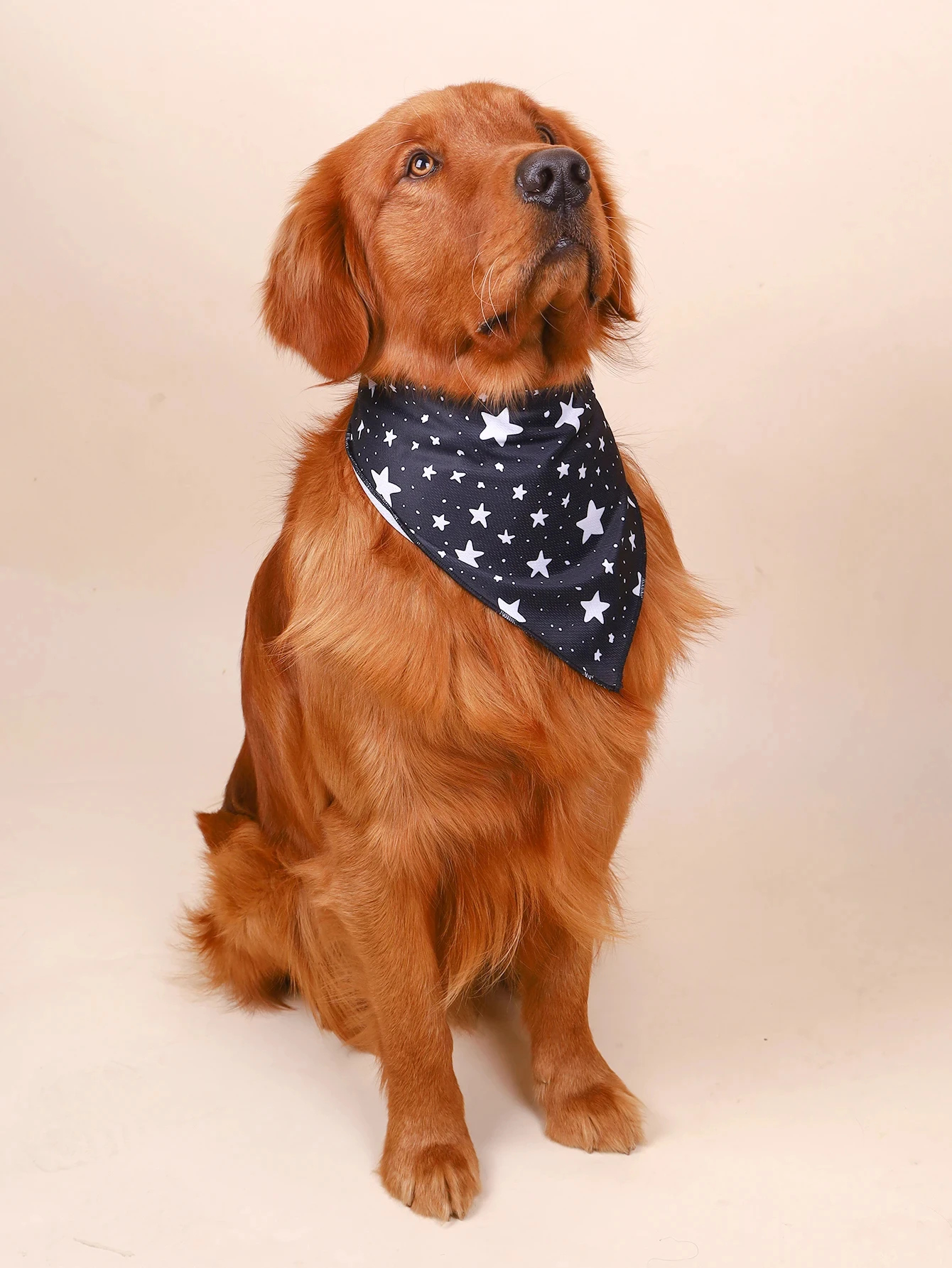 Vendaje triangular con estrellas y lunas para gatos y perros - imagen 5