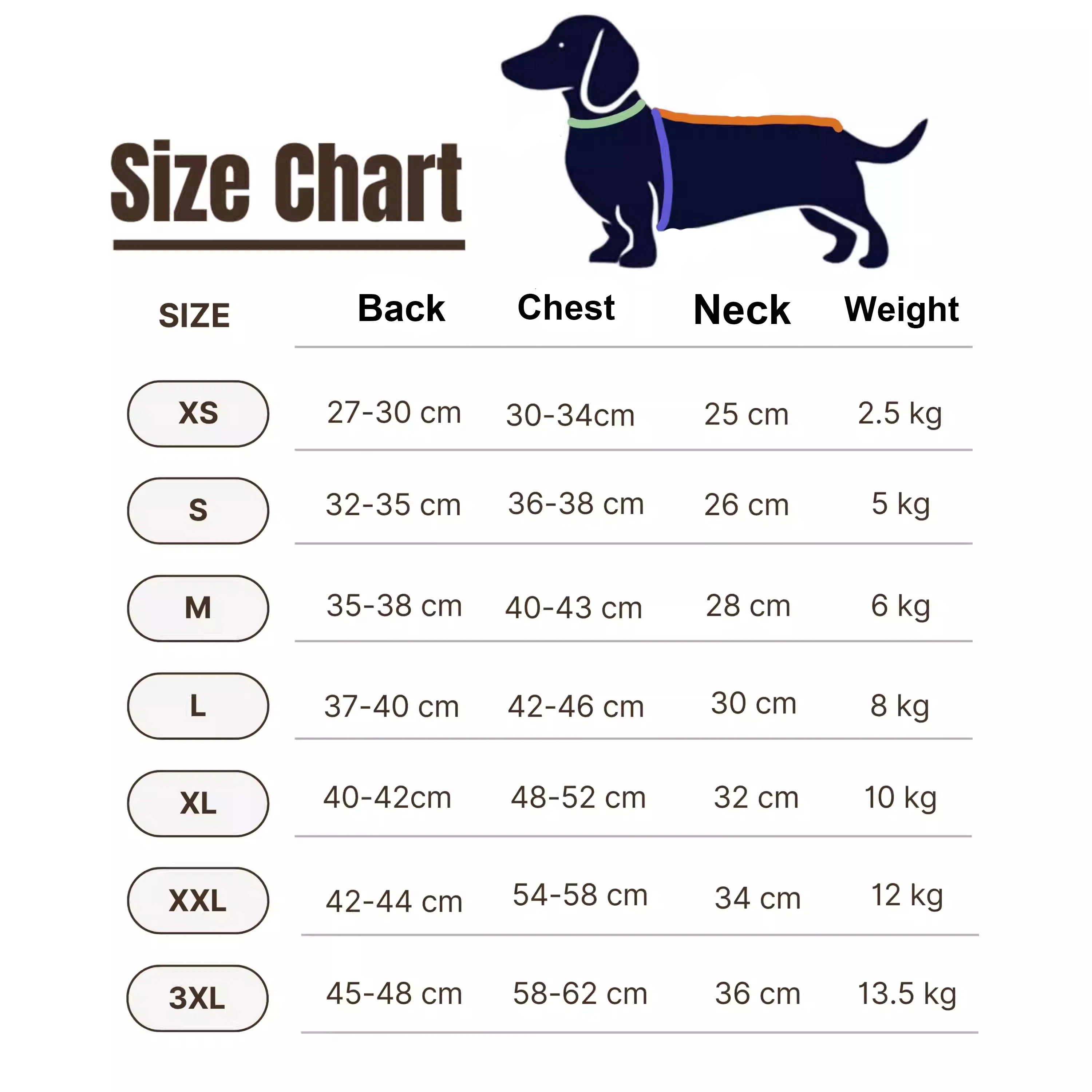 Detalle del suéter ABQP para perro salchicha