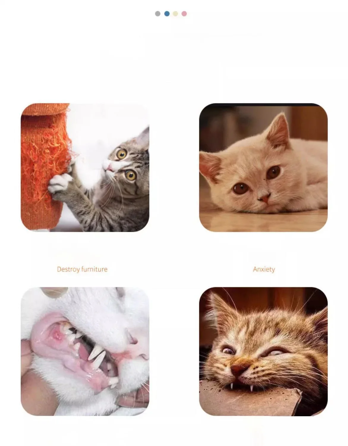 Zanahoria sonora para gatos