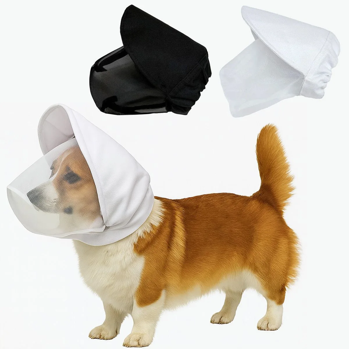 Máscara protectora colocada en un perro mediano