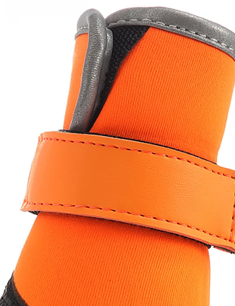 Guía para medir la pata del perro antes de elegir talla