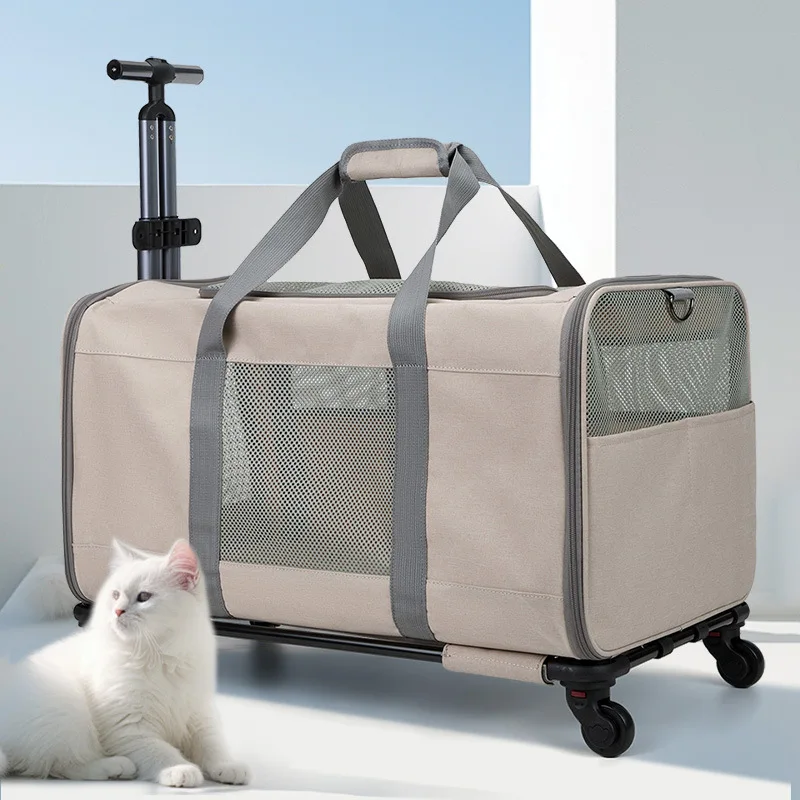 Transportín plegable con ruedas