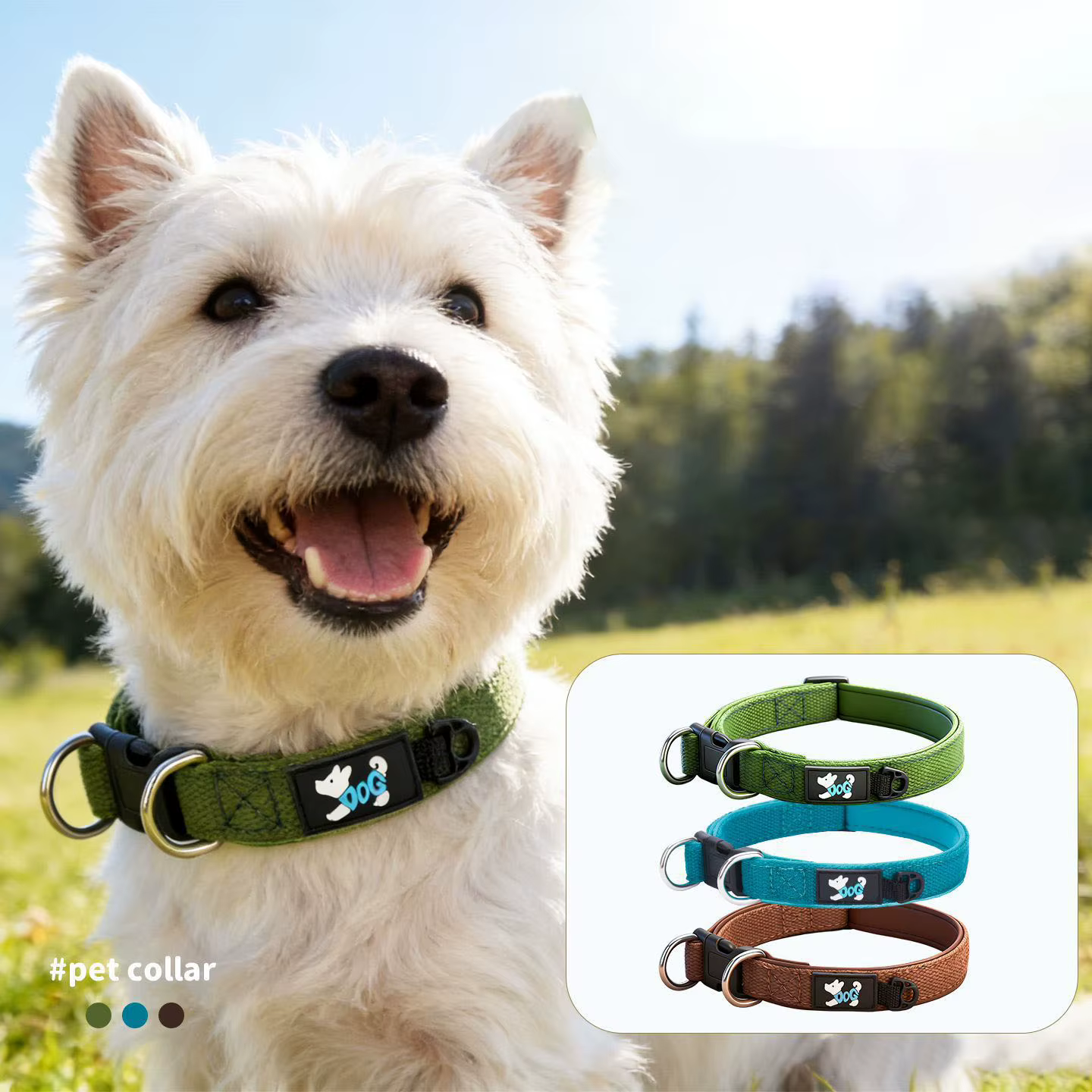 Collar ajustable y suave para perros – Paseos diarios - imagen 3