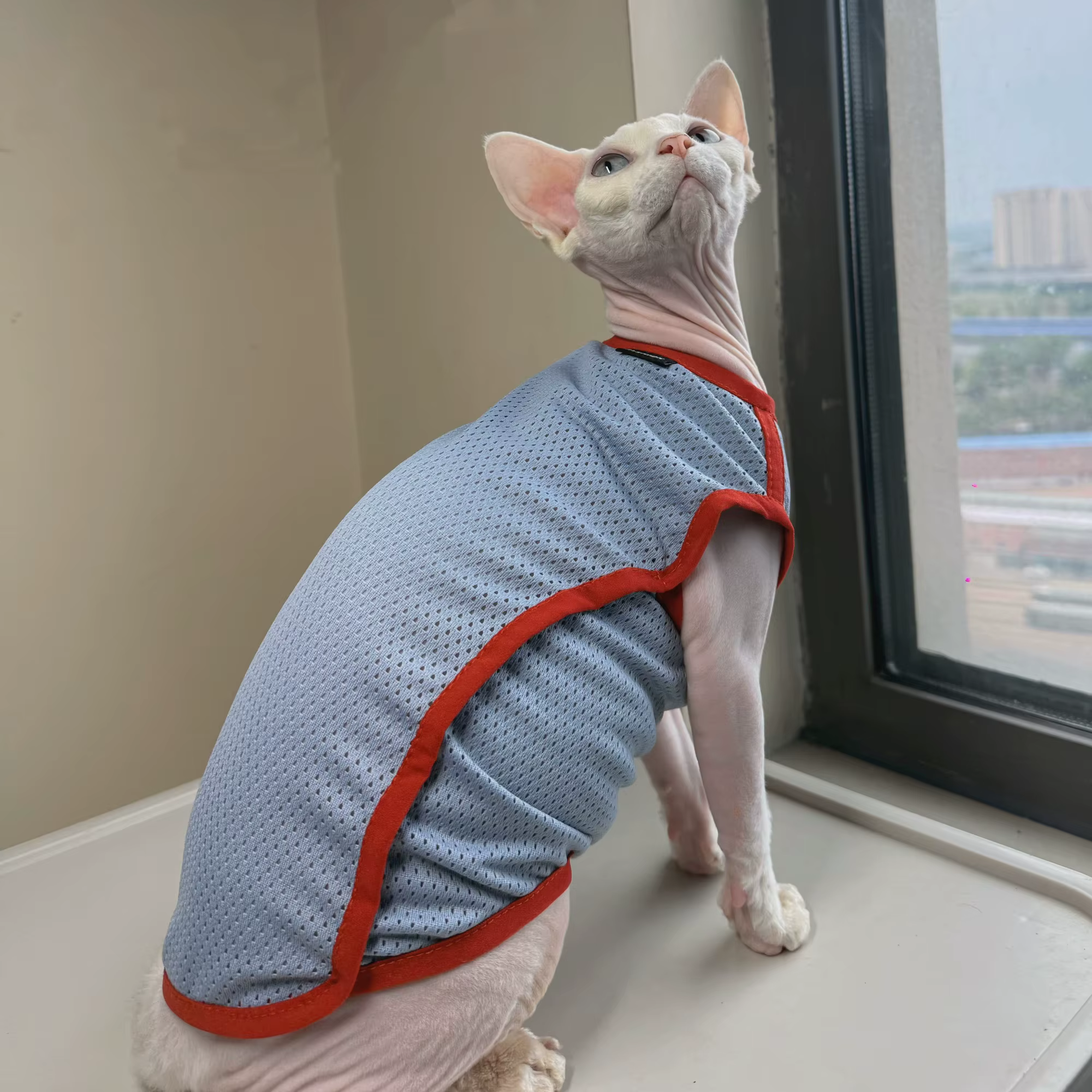 Chaleco de protección solar para gatos Sphynx – Transpirable y fresco - imagen 3