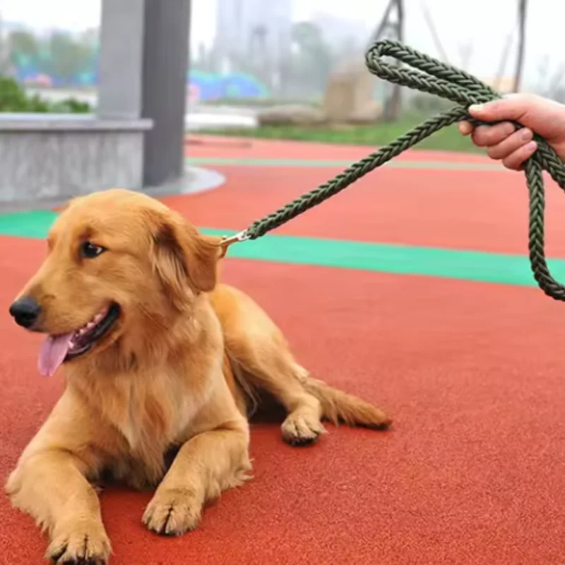 Arnés y Correa de Nylon para Perros Grandes – Paseo y Montaña - imagen 3