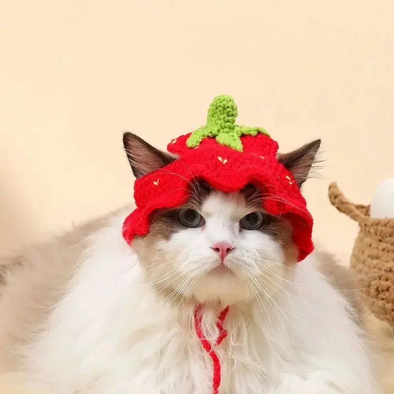 Gorro tejido para gato de color claro