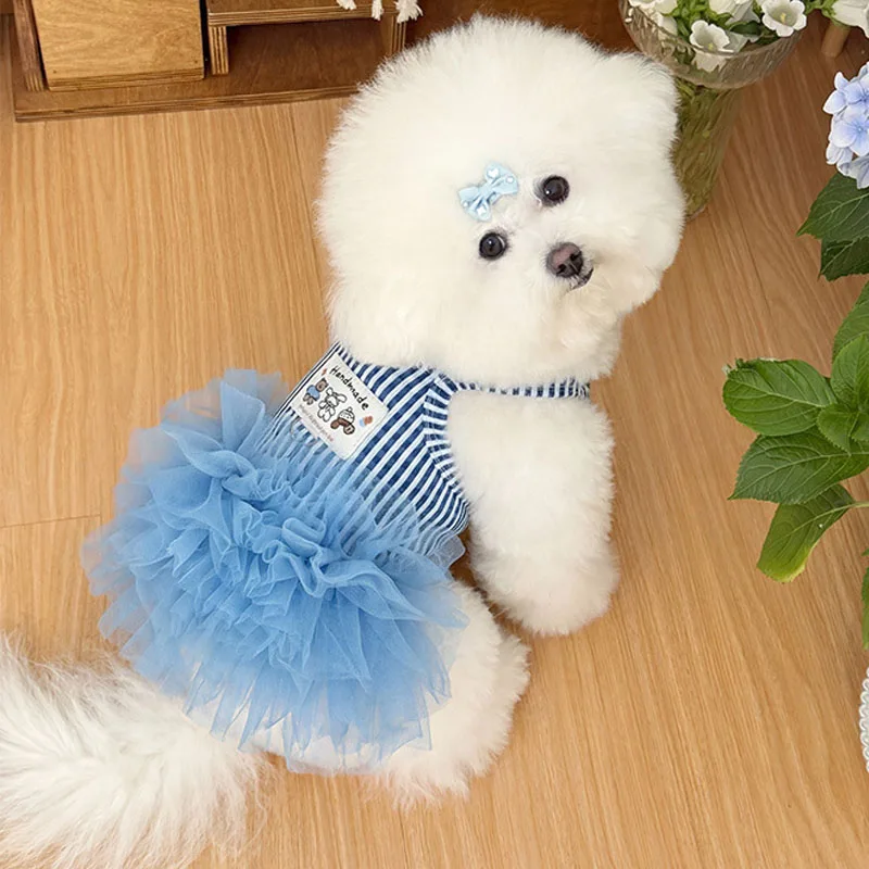 Disfraz falda tutú azul de verano para perros pequeños (Chihuahua, York y Poodle)