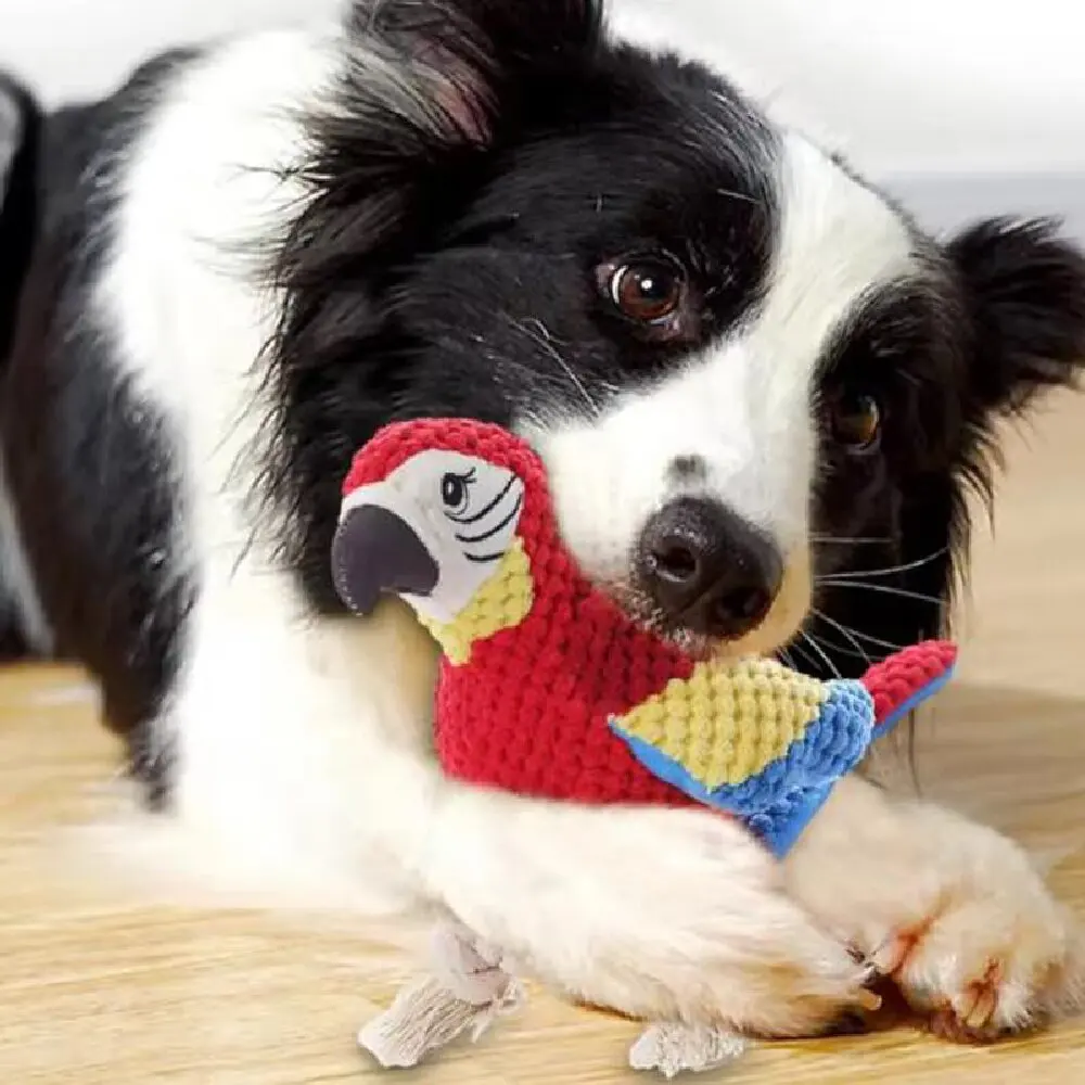 Juguete de loro con sonido para perros, vista frontal